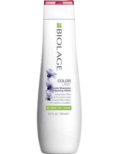 Matrix Color Last Purple Shampoo 250 ml